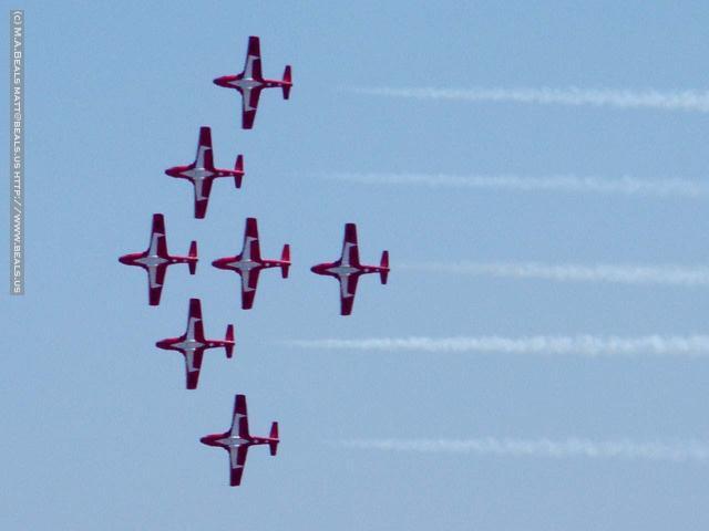 0838-Snowbirds